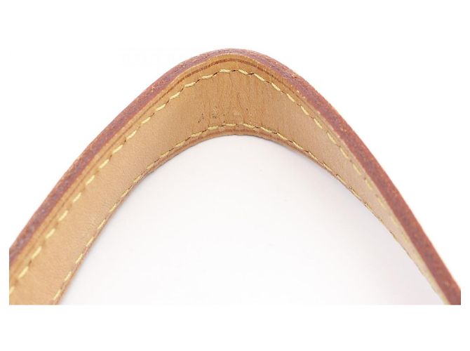 Borsa a Spalla Louis Vuitton Odeon PM Monogram Marrone - vista 6