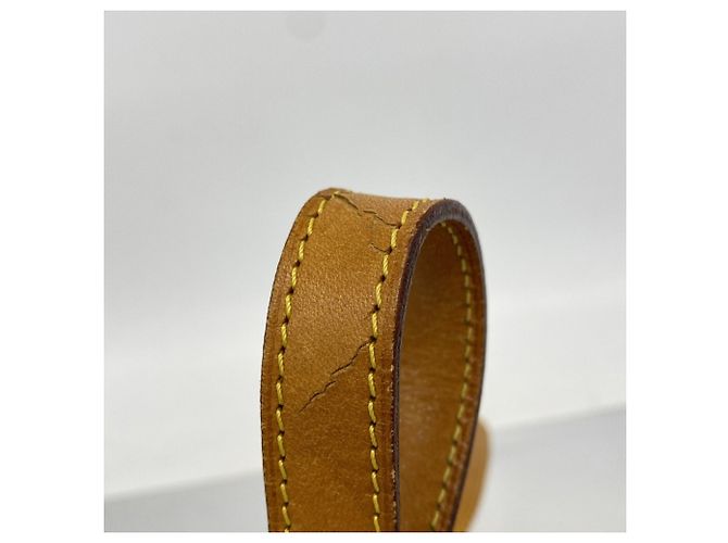Zaino Louis Vuitton Monogram Ellipse Sac Add Marrone - vista 6