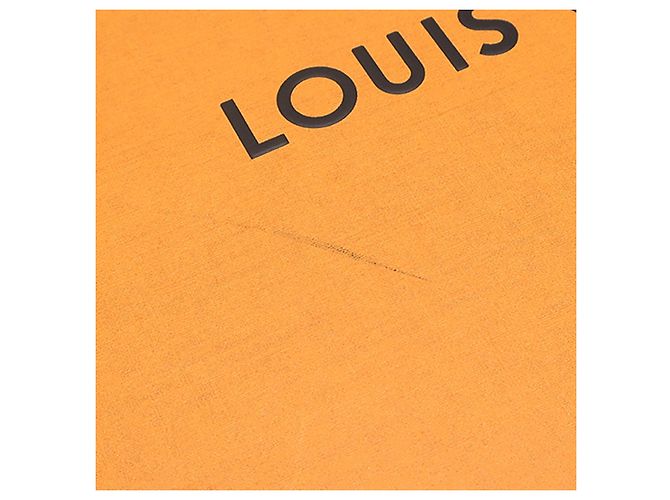 Louis Vuitton Marrone Monogram Reverse Giant Boursicot BC - vista 10