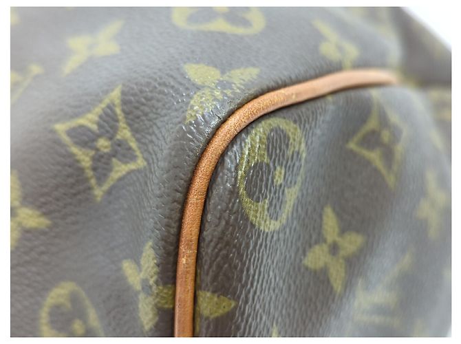 Borsa Louis Vuitton Speedy Monogram Canvas 40 Marrone - vista 3