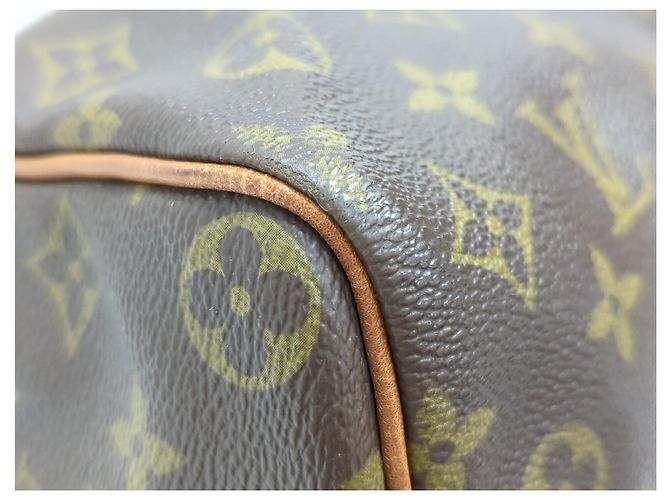 Borsa Louis Vuitton Speedy Monogram Canvas 40 Marrone - vista 4