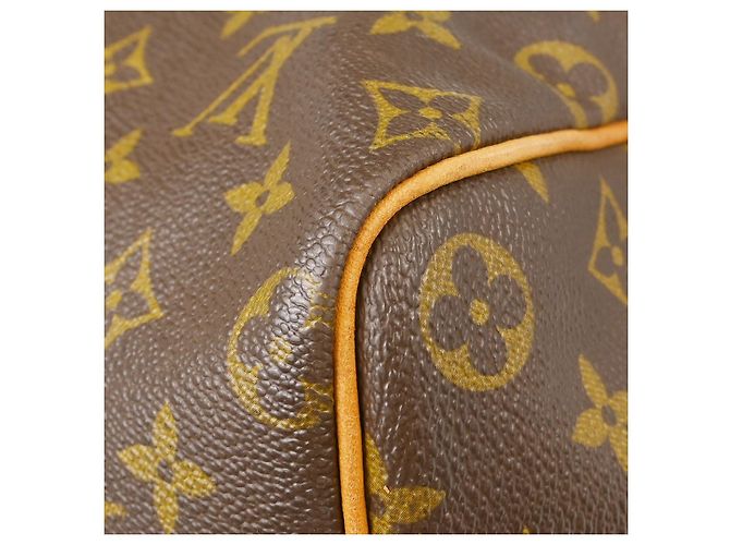 Louis Vuitton Speedy Monogram Canvas 40 Marrone - vista 7
