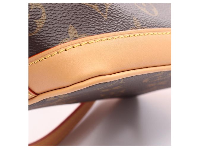 Borsa Louis Vuitton Nano Noe Monogram Marrone - vista 5