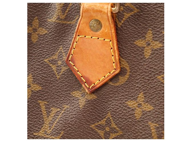 Louis Vuitton Borsa Alma PM Monogram Marrone Monogramma - vista 12