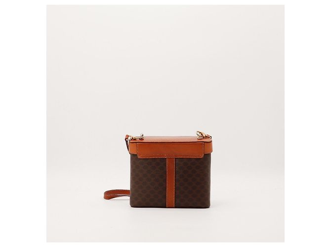Céline Celine Borsa a tracolla Triomphe in tela e pelle Marrone - vista 3