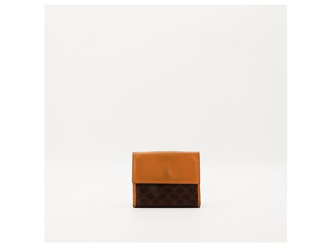 Céline Celine Cartera Triomphe en canvas Castaño - vista 4