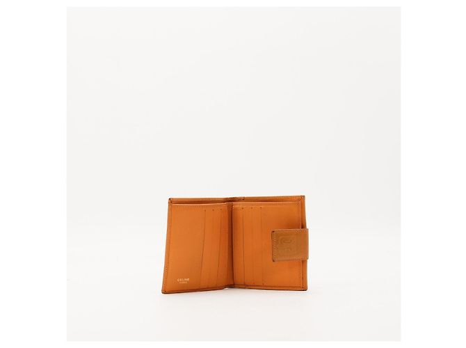 Céline Celine Cartera Triomphe en canvas Castaño - vista 5