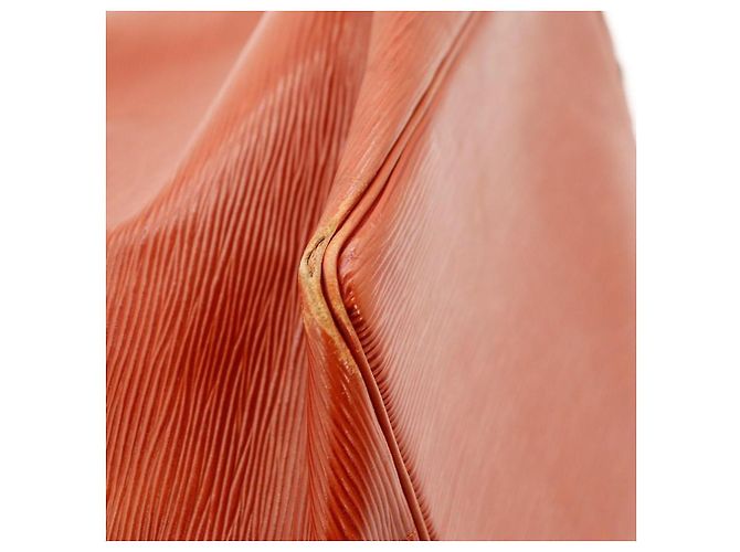 Louis Vuitton Borsa a Secchiello Noé in Pelle Epi Marrone - vista 10