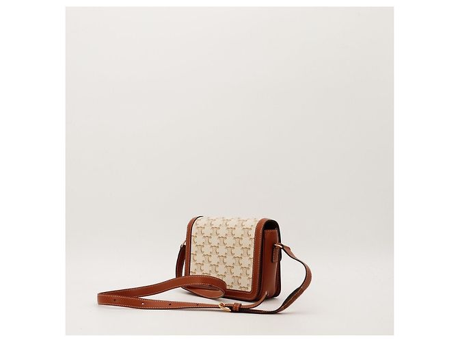 Céline Piccola Borsa Triomphe in Tela e Pelle di Vitello Marrone Beige - vista 5