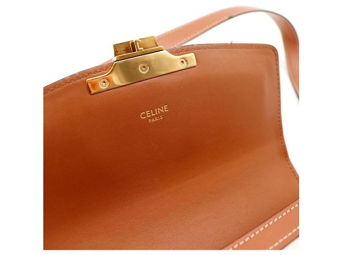 Céline Piccola Borsa Triomphe in Tela e Pelle di Vitello Marrone Beige - vista 9