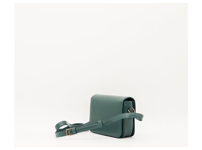 Céline Celine Triomphe Borsa a tracolla in pelle di vitello liscia color ottanio Verde - vista 4