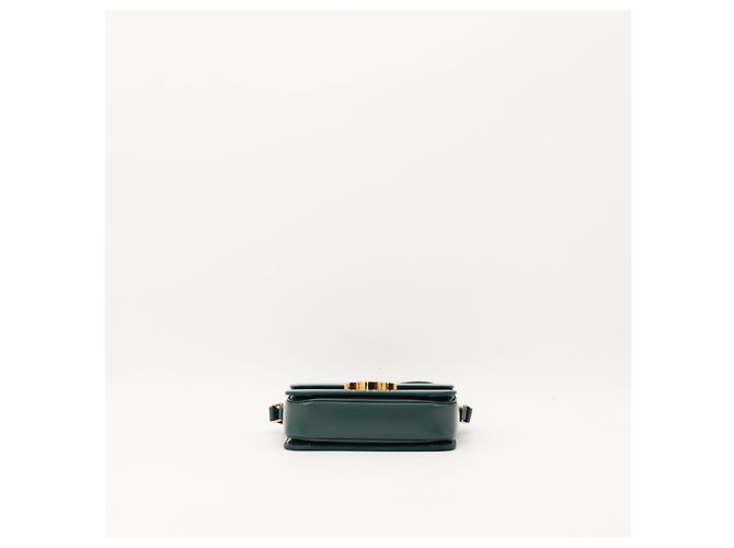 Céline Celine Triomphe Borsa a tracolla in pelle di vitello liscia color ottanio Verde - vista 5