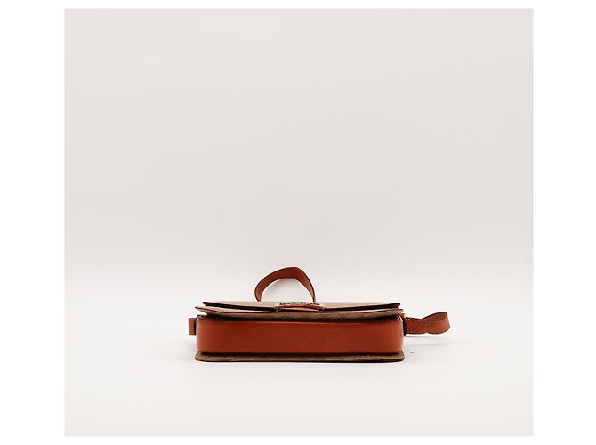 Borsa a spalla Céline Triomphe in tela Marrone Beige - vista 5