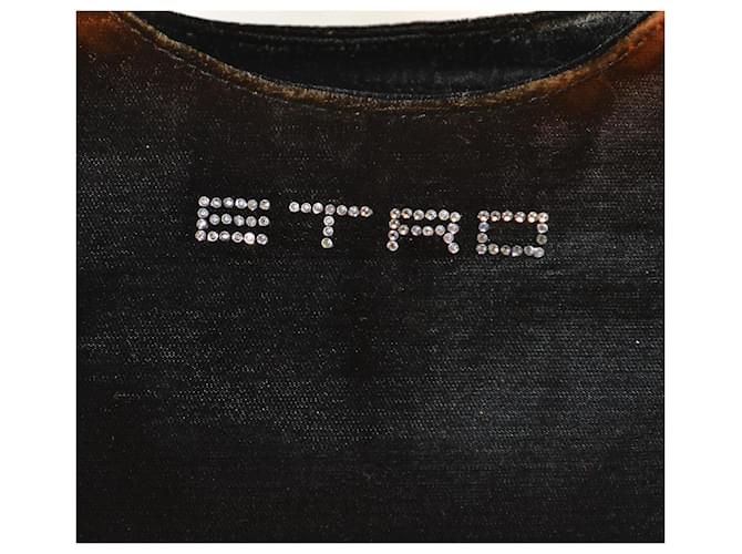 Borsa Etro in velluto Marrone Nero - vista 3