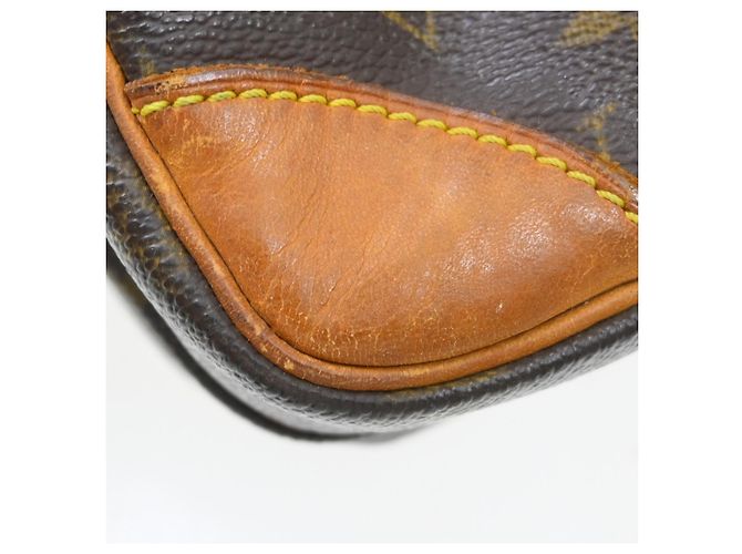 Louis Vuitton Amazone Monogram Canvas PM Castaño - vista 7