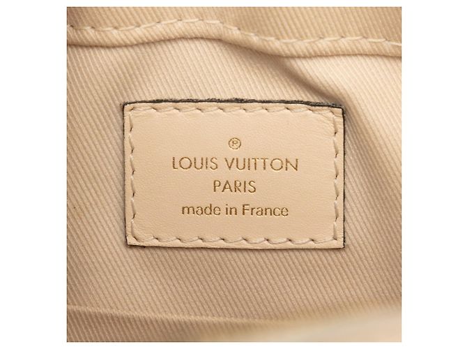 Borsa Louis Vuitton Monogram Saint-Onge Marrone Beige - vista 5