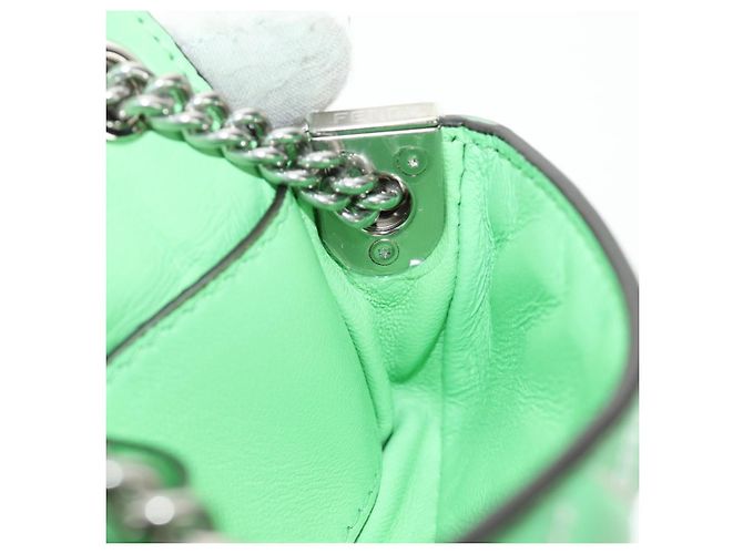 FENDI Nano Baguette Chain Schulterbeutel aus Leder 2way grün Auth 184863SAM Silber Hellgrün - Ansicht 23