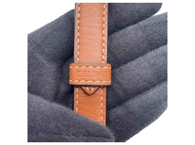 Céline Borsa a Spalla Celine Mini Besace Triomphe Marrone - vista 14