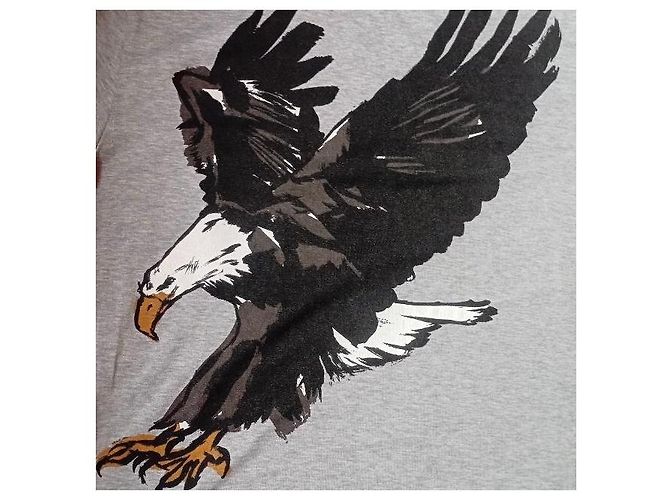 Balenciaga T-Shirt mit Eagle-Print Grau - Ansicht 6