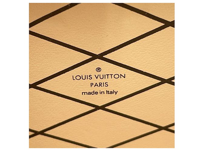 Borsa a Spalla Louis Vuitton Petite Malle Epi Metallic Argento D'oro - vista 18