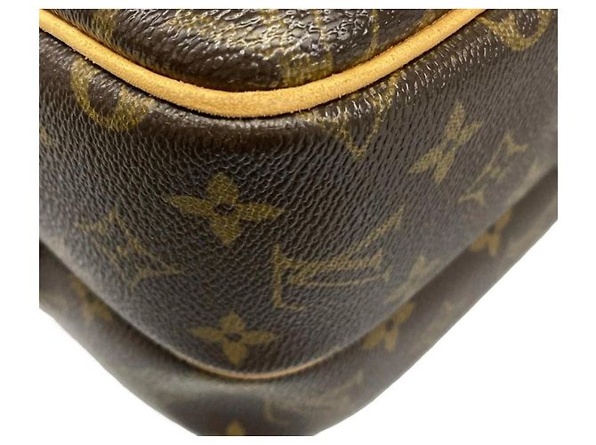 Louis Vuitton Reporter PM Castaño Dorado - vista 6