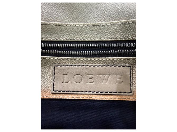 Loewe Borsa a tracolla Anagram Coated Canvas Kite Baguette Rosa Beige Grigio - vista 14