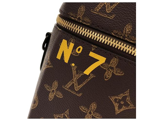 Borsa Louis Vuitton Monogram Vertical Box Trunk Marrone - vista 5