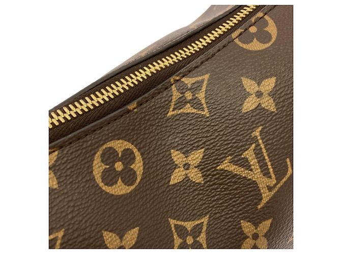 Louis Vuitton Monogram Reverse Loop Hobo Schultertasche Braun - Ansicht 5