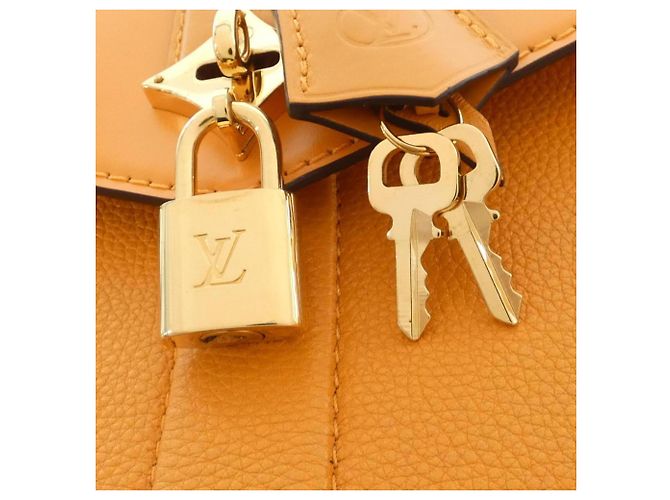 Borsa Louis Vuitton Rose des Vents PM Arancione - vista 6