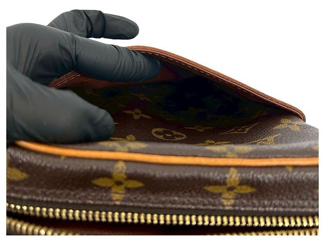 Borsa a tracolla Louis Vuitton Danube Monogram Marrone - vista 11