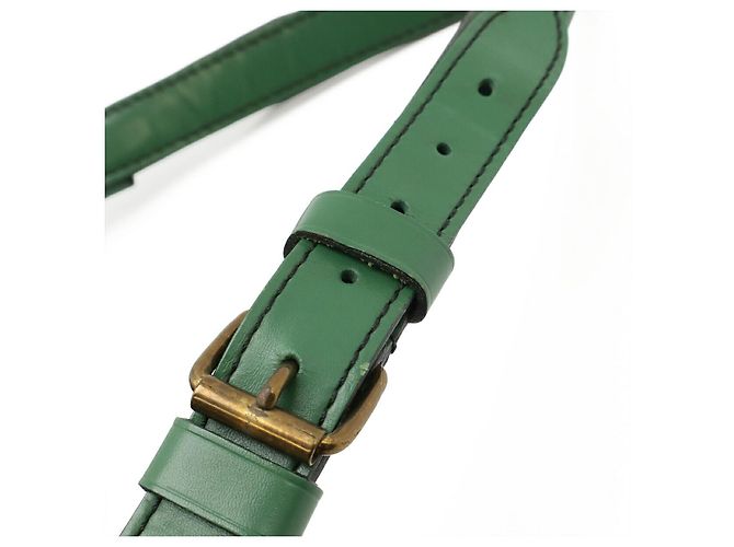 Borsa a Spalla Louis Vuitton Petit Noe Epi Verde - vista 5