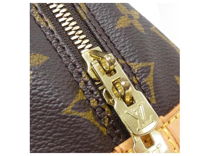 Borsa Louis Vuitton Monogram Alma PM Marrone - vista 3