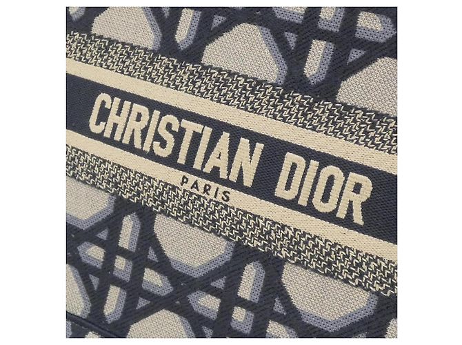Bolsa Christian Dior Book Tote Small Azul - vista 4