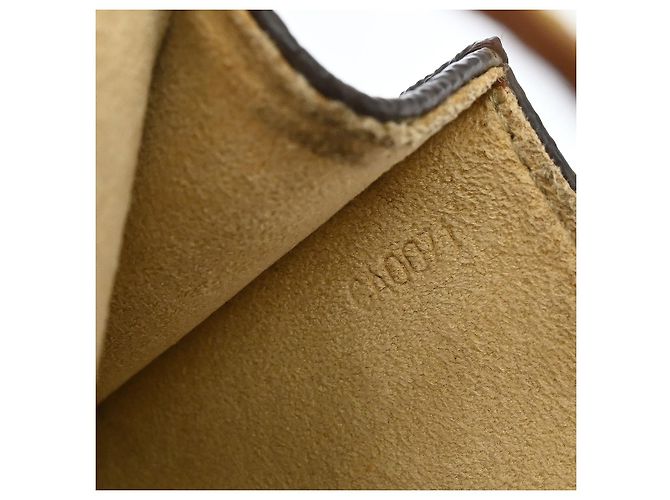 Louis Vuitton Twin Monogram Canvas PM Marron - vue 5