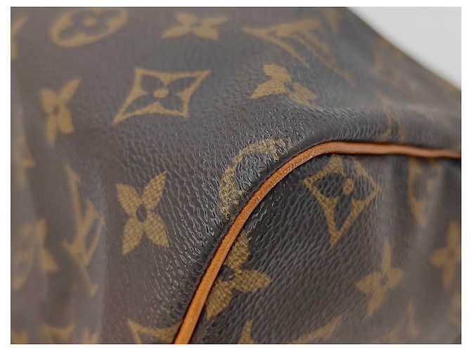 Bolso Louis Vuitton Speedy Monogram Canvas 30 Castaño - vista 5