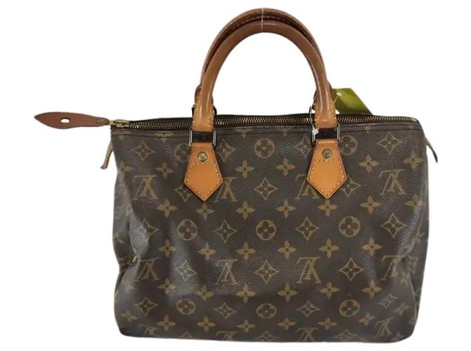 Borsa Louis Vuitton Speedy in Tela Monogram 30 Marrone - vista 2