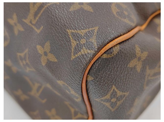 Borsa Louis Vuitton Speedy Monogram Canvas 25 Marrone - vista 3