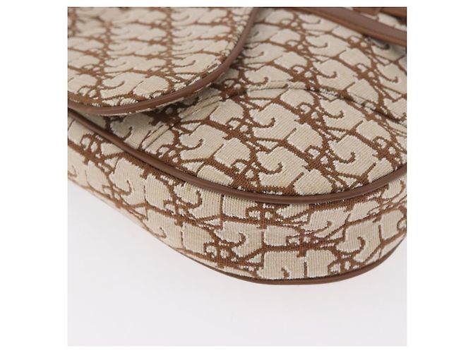 Borsa a Spalla Christian Dior Trotter Canvas Saddle Beige Silver Auth 187508SAM Argento - vista 11