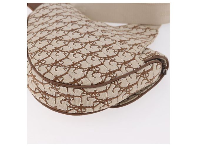 Borsa a Spalla Christian Dior Trotter Canvas Saddle Beige Silver Auth 187508SAM Argento - vista 14