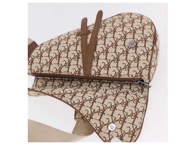 Borsa a Spalla Christian Dior Trotter Canvas Saddle Beige Silver Auth 187508SAM Argento - vista 15