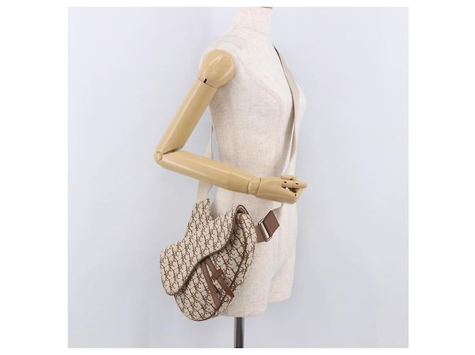 Borsa a Spalla Christian Dior Trotter Canvas Saddle Beige Silver Auth 187508SAM Argento - vista 23