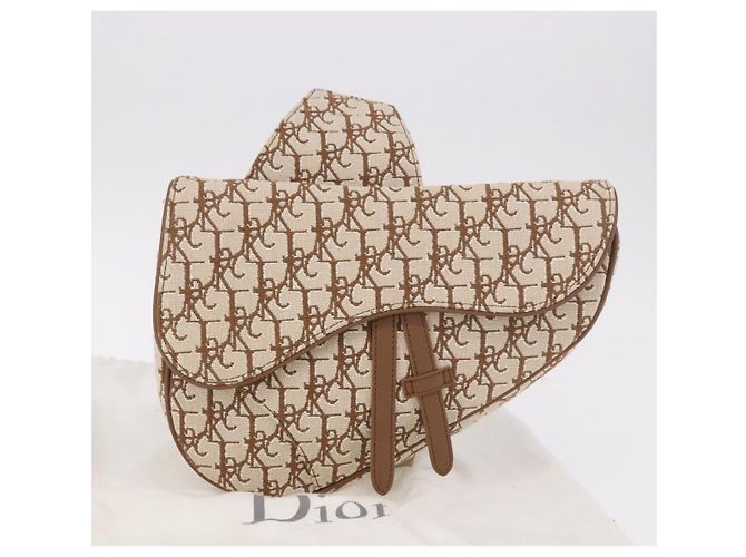 Borsa a Spalla Christian Dior Trotter Canvas Saddle Beige Silver Auth 187508SAM Argento - vista 24