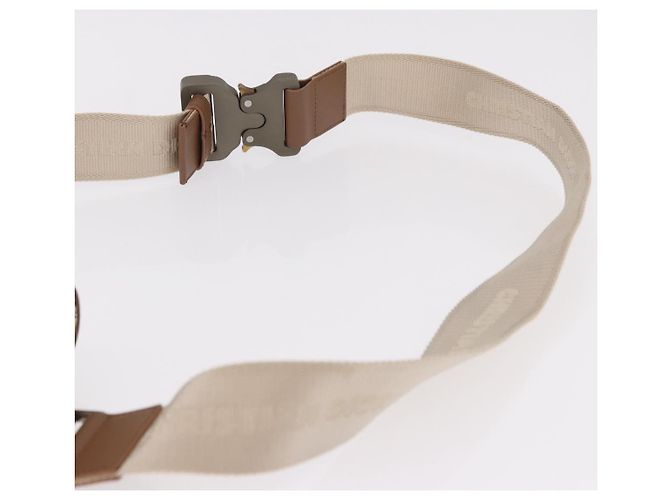 Borsa a Spalla Christian Dior Trotter Canvas Saddle Beige Silver Auth 187508SAM Argento - vista 9