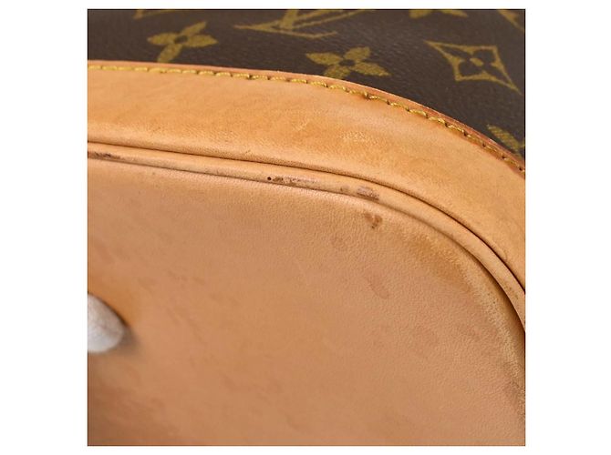 Louis Vuitton Alma Monogram Canvas PM Marrone - vista 6