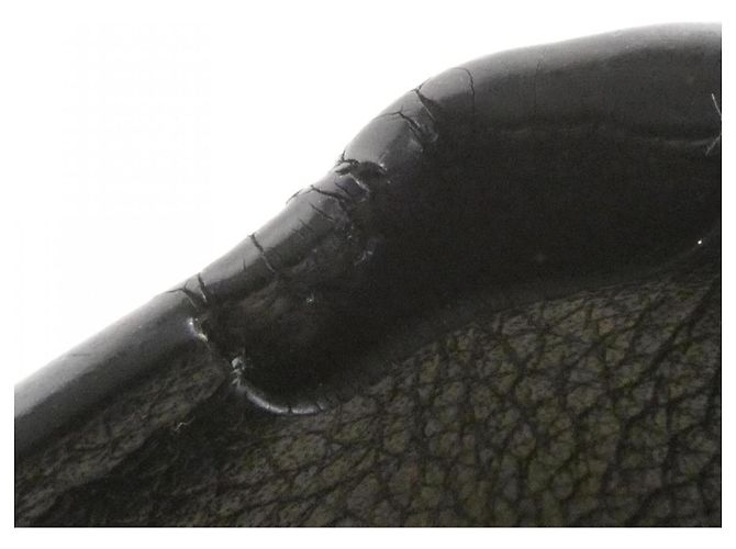 Cartera Louis Vuitton Lock Mini Negro - vue 5