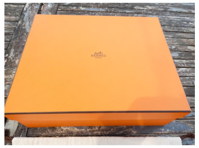 Hermès Kelly 25 Komplettset (Box und Staubbeutel) Beige Orange - Ansicht 6