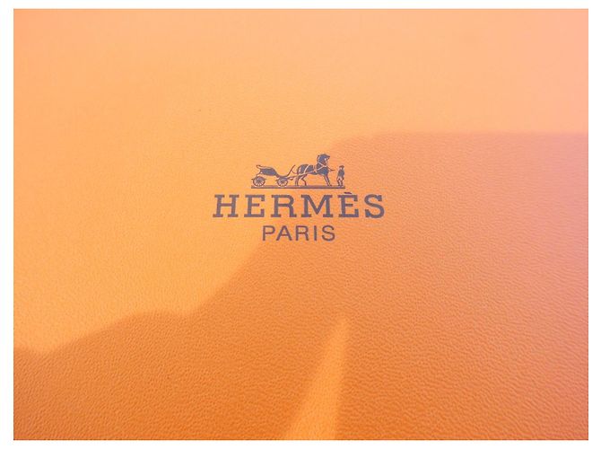 Hermès Kelly 25 Komplettset (Box und Staubbeutel) Beige Orange - Ansicht 7