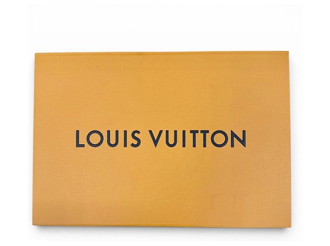 Stola in cashmere Louis Vuitton Marrone Nero - vista 8
