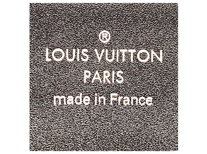 Borsa a tracolla Louis Vuitton Pochette Iena Nero - vista 4