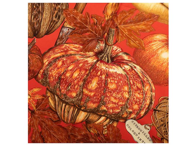 Sciarpa in seta Hermès Orange Citrouilles et Coloquintes 90 Rosso Arancione - vista 6